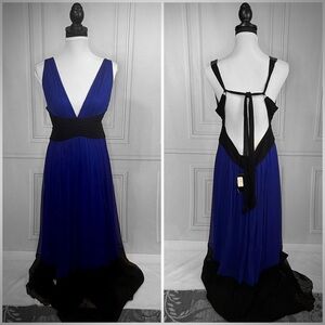 BCBG dress nwt